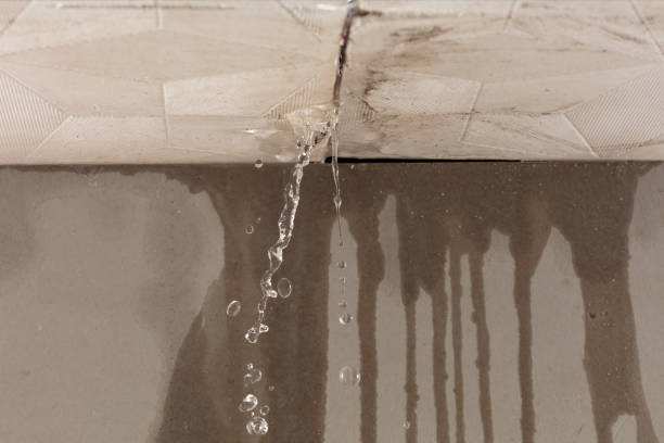 Professional Burst Pipe Cleanup technician working in Altamont, TN